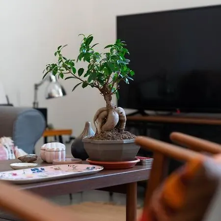 Casa In Centro Con Terrazzo Apartment Palermo
